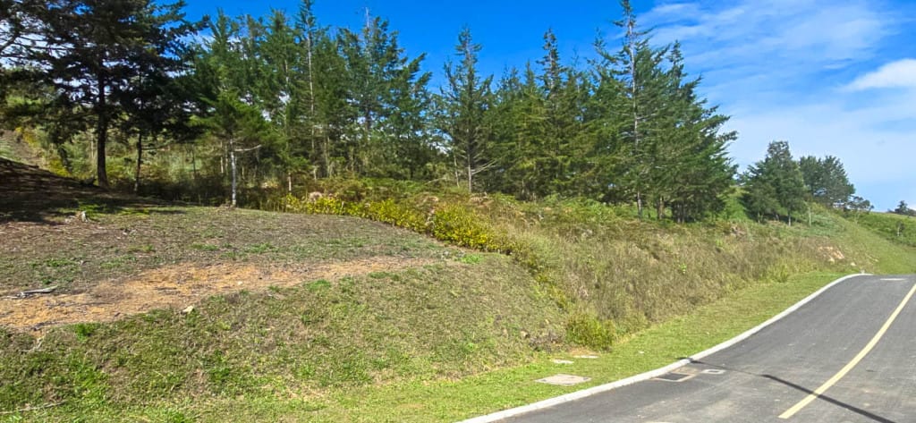 Lote en venta en El Carmen de Viboral, 2580 m² · foto 5 de 14