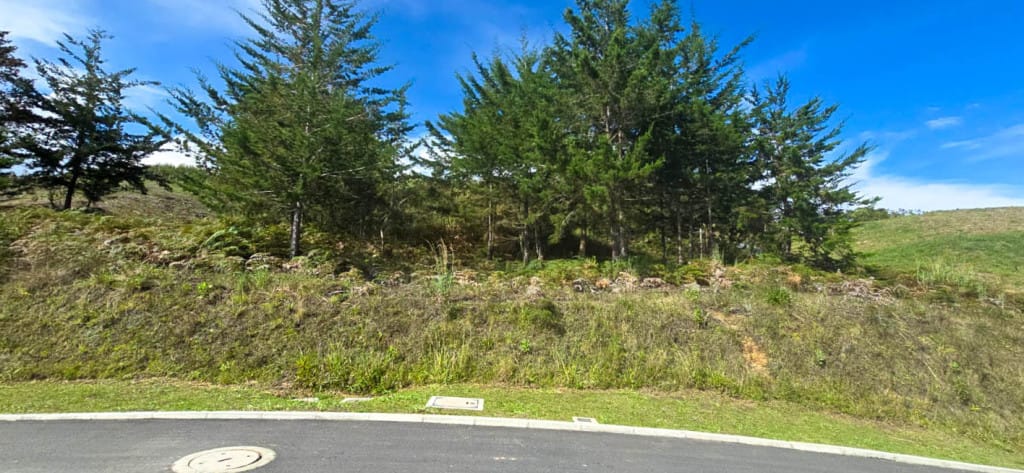Lote en venta en El Carmen de Viboral, 2580 m² · foto 6 de 14