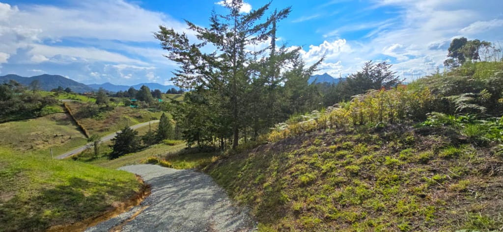 Lote en venta en El Carmen de Viboral, 2580 m² · foto 9 de 14