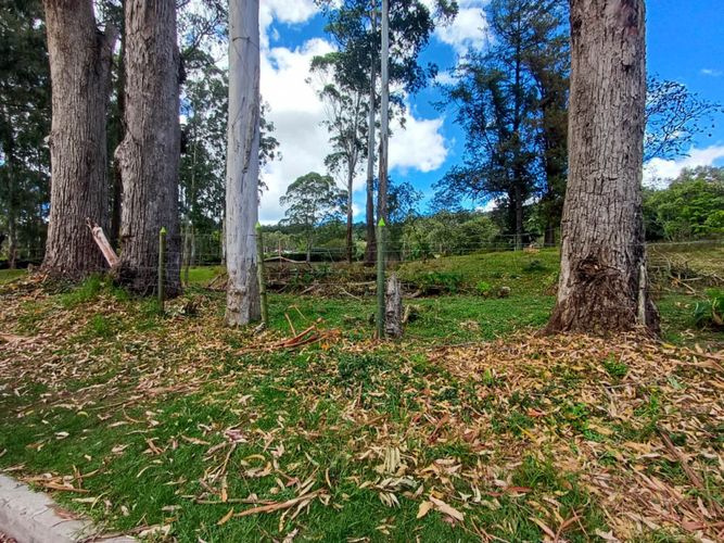Lote en venta en Llano Grande, Rionegro, 16500 m² · foto 2 de 20