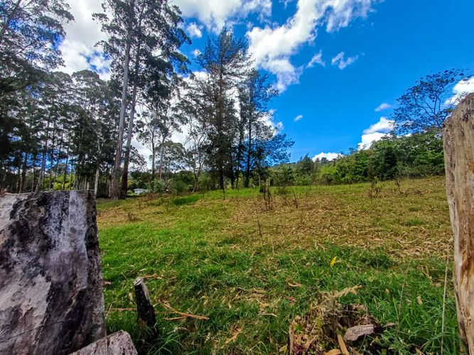 Lote en venta en Llano Grande, Rionegro, 16500 m² · foto 4 de 20