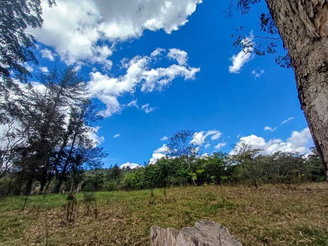 Lote en venta en Llano Grande, Rionegro, 16500 m² · foto 5 de 20