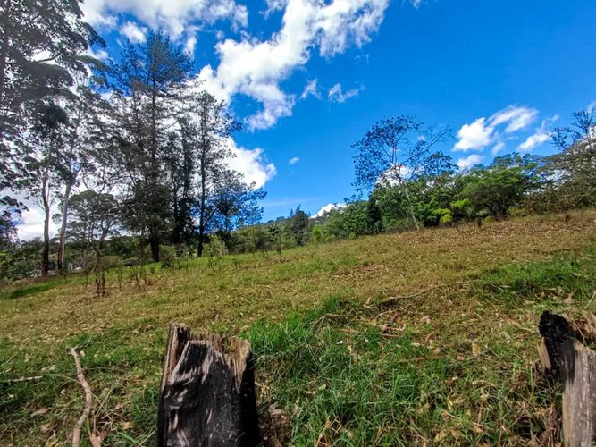 Lote en venta en Llano Grande, Rionegro, 16500 m² · foto 6 de 20