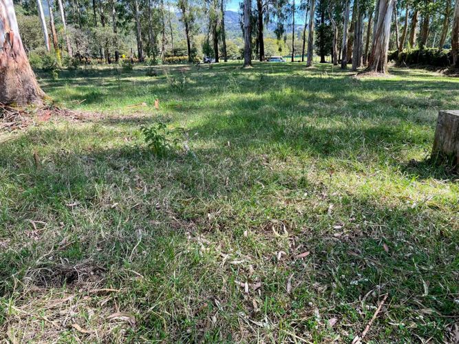Lote en venta en Llano Grande, Rionegro, 16500 m² · foto 7 de 20