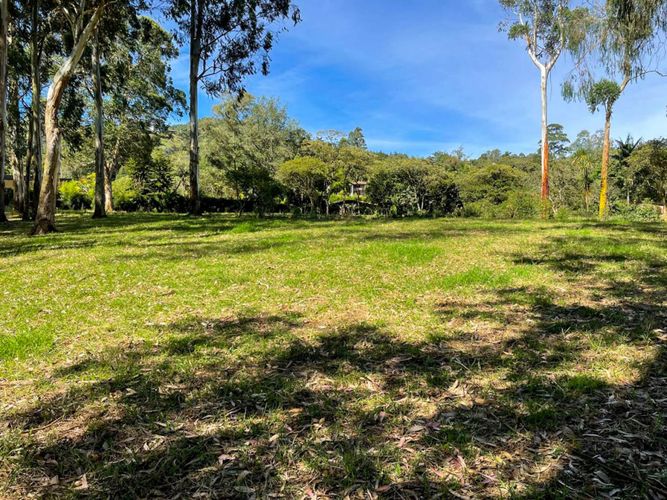 Lote en venta en Llano Grande, Rionegro, 16500 m² · foto 11 de 20