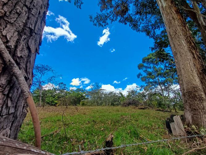 Lote en venta en Llano Grande, Rionegro, 16500 m² · foto 12 de 20