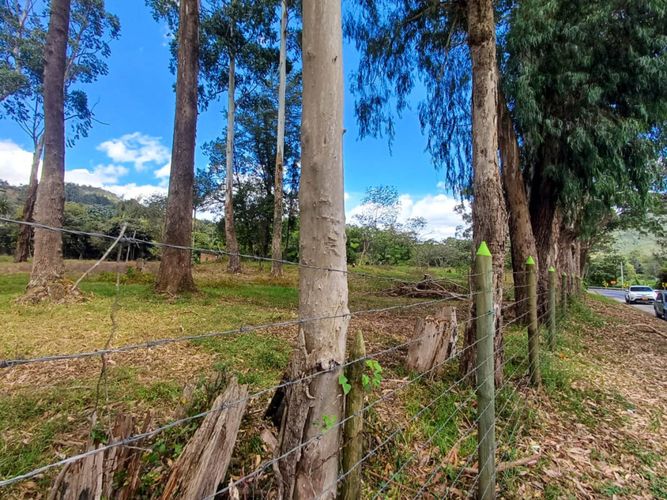 Lote en venta en Llano Grande, Rionegro, 16500 m² · foto 13 de 20
