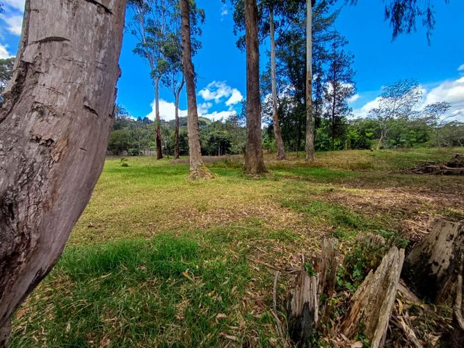 Lote en venta en Llano Grande, Rionegro, 16500 m² · foto 14 de 20