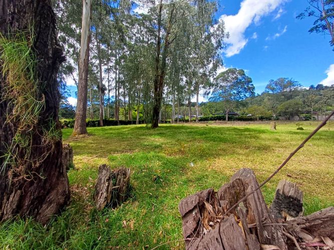Lote en venta en Llano Grande, Rionegro, 16500 m² · foto 16 de 20