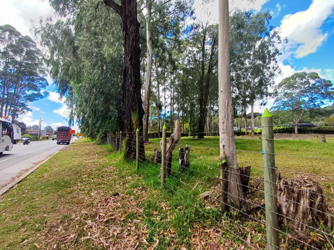 Lote en venta en Llano Grande, Rionegro, 16500 m² · foto 17 de 20