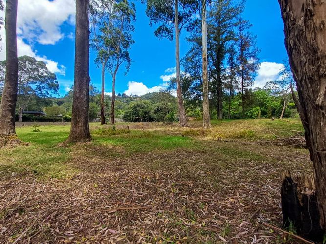 Lote en venta en Llano Grande, Rionegro, 16500 m² · foto 19 de 20