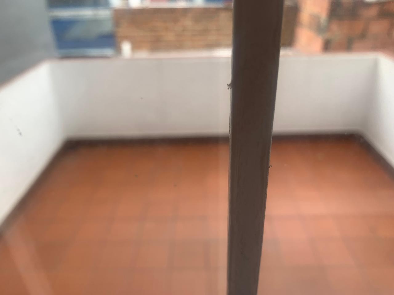 Casa en venta en Portales Del Norte, Bogotá · foto 7 de 12