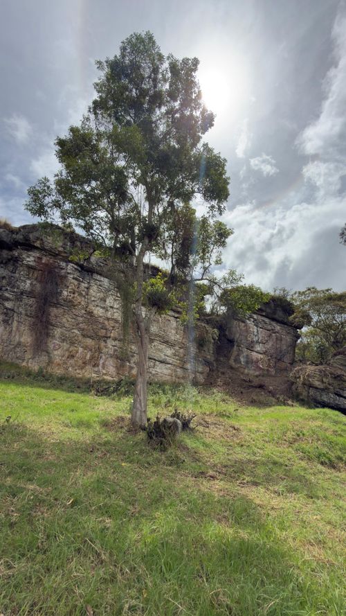 Lote en venta en Sindamanoy, Chía, 13996 m² · foto 4 de 19