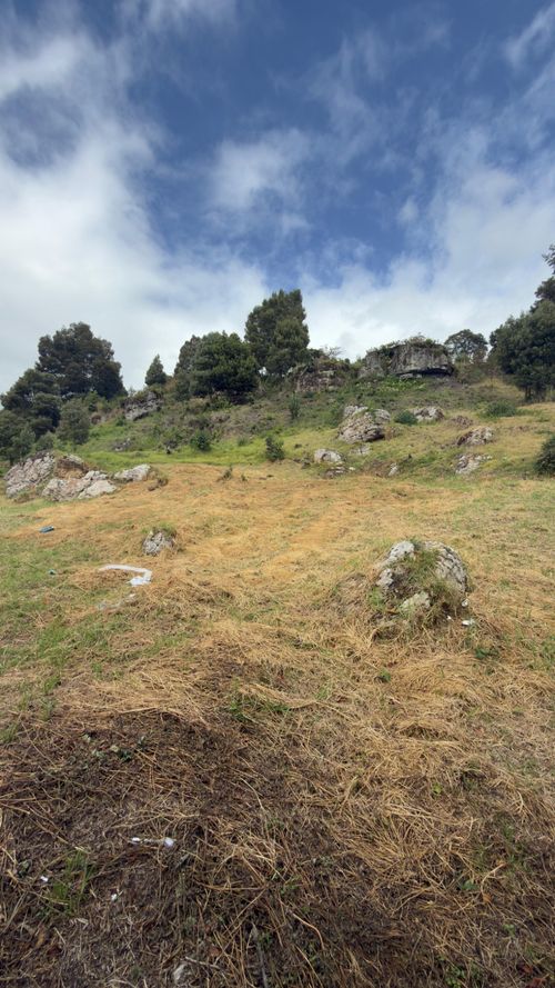 Lote en venta en Sindamanoy, Chía, 13996 m² · foto 6 de 19