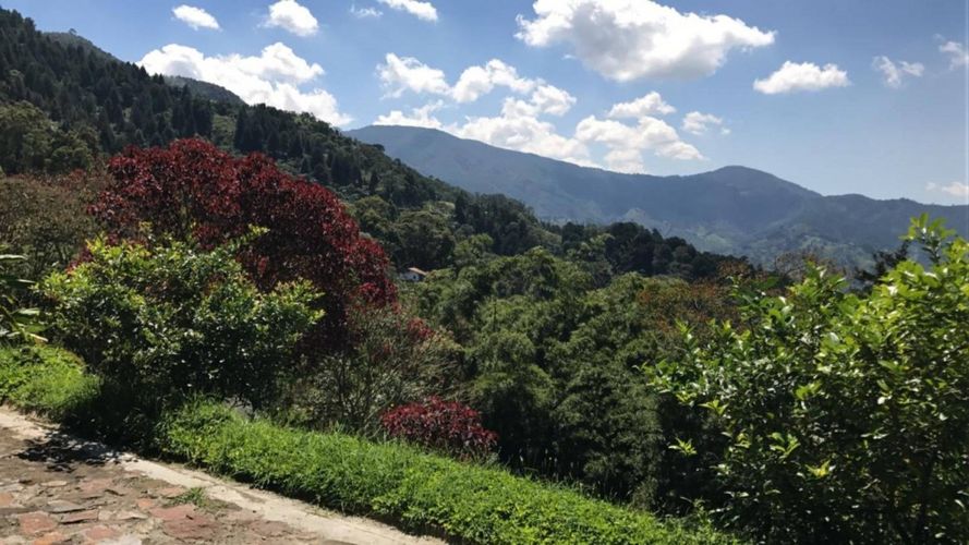 Casa de 8 alcobas en venta en Loma Del Chocho, Envigado, 760 m² · foto 10 de 24