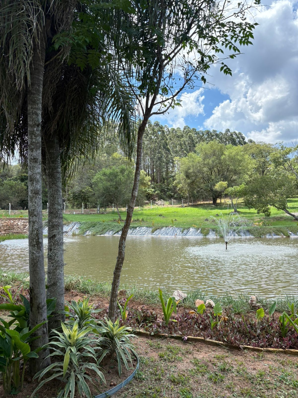 Exclusivos Lotes en Barrio Cerrado Altos Nativo: Tu Oportunidad de Inversión a Pasos de Aqua Village y Minutos de San Bernardino. — foto 3