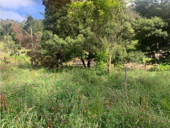 Lote en venta en Vereda El Salitre, La Calera, 1368 m² · foto 7 de 20