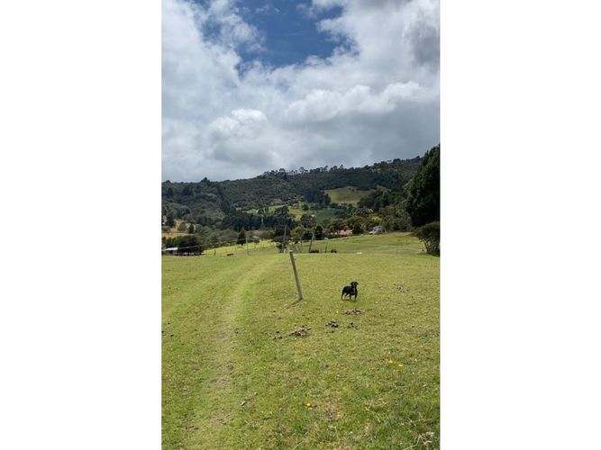 Lote en venta en Yerbabuena, Chía, 21333 m² · foto 13 de 14