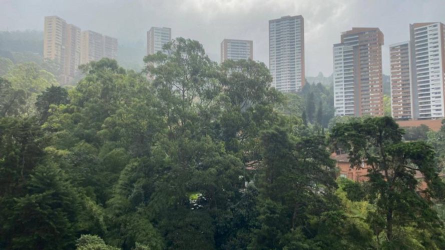 Apartamento de 1 alcoba en arriendo en Los Balsos, Medellín, 55 m² · foto 4 de 13