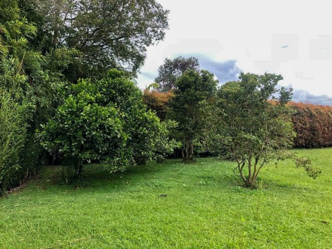 Lote en venta en Llano Grande, Rionegro · foto 4 de 11