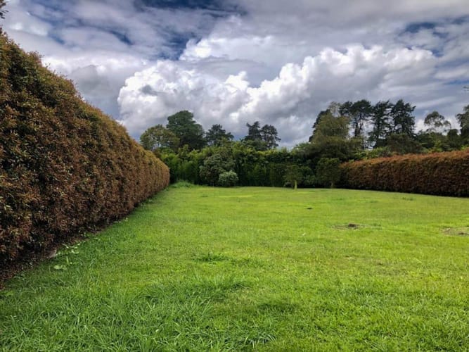 Lote en venta en Llano Grande, Rionegro · foto 8 de 11