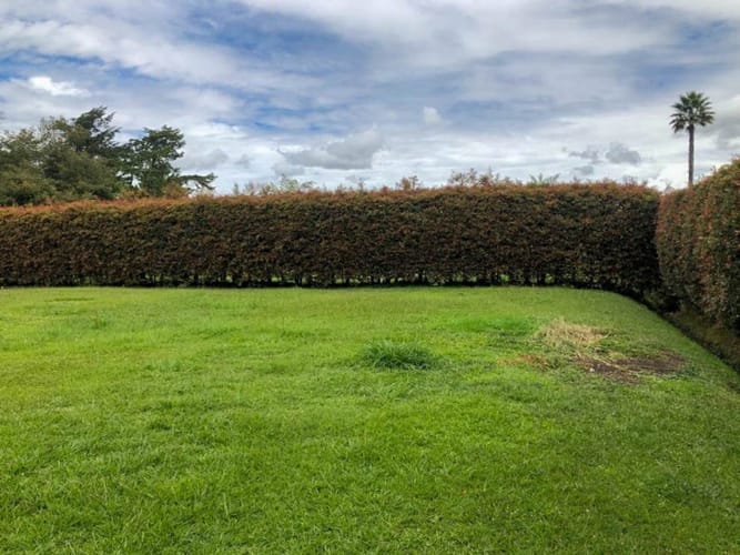 Lote en venta en Llano Grande, Rionegro · foto 9 de 11