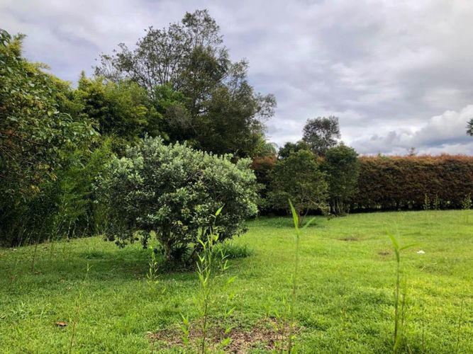 Lote en venta en Llano Grande, Rionegro · foto 11 de 11