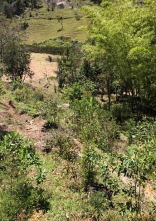 Lote en venta en El Porvenir, Rionegro · foto 4 de 14