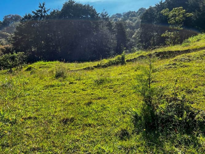 Lote en venta en Pontezuela, Rionegro · foto 2 de 15