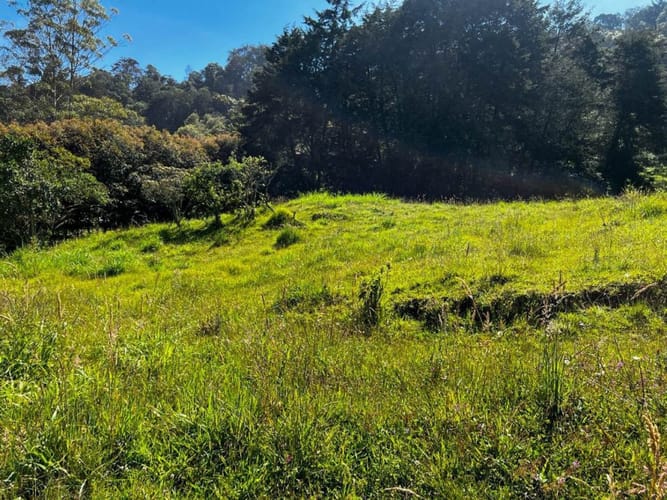 Lote en venta en Pontezuela, Rionegro · foto 3 de 15