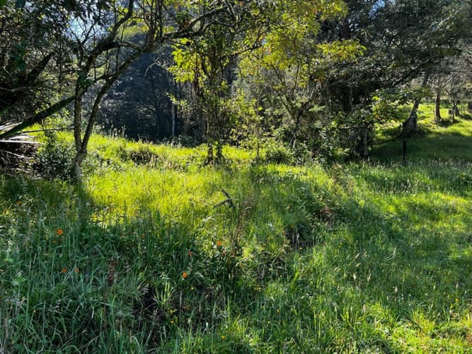 Lote en venta en Pontezuela, Rionegro · foto 9 de 15
