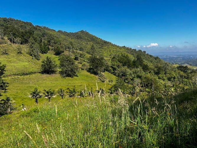 Lote en venta en Pontezuela, Rionegro · foto 10 de 15