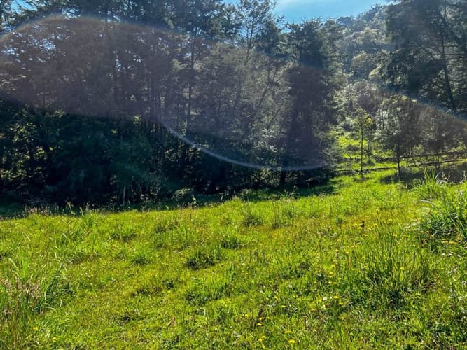 Lote en venta en Pontezuela, Rionegro · foto 12 de 15