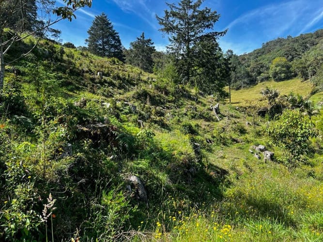 Lote en venta en Pontezuela, Rionegro · foto 13 de 15