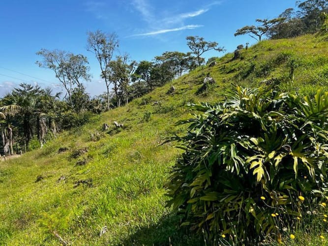 Lote en venta en Pontezuela, Rionegro · foto 15 de 15