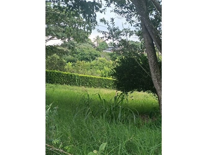 Lote en venta en Cerritos, Pereira, 2540 m² · foto 8 de 9