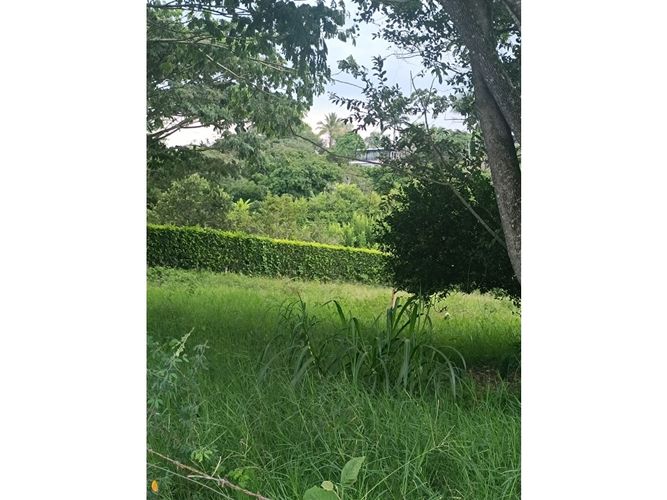 Lote en venta en Cerritos, Pereira, 2540 m² · foto 9 de 9