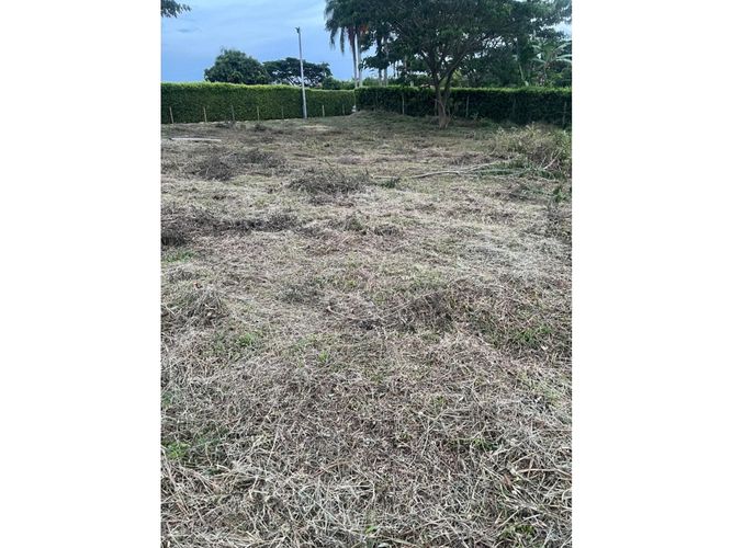 Lote en venta en Cerritos, Pereira, 2540 m² · foto 5 de 9