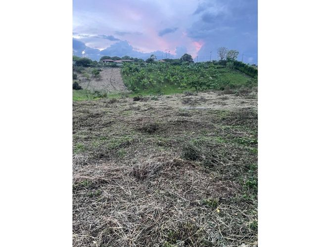 Lote en venta en Cerritos, Pereira, 2540 m² · foto 3 de 9