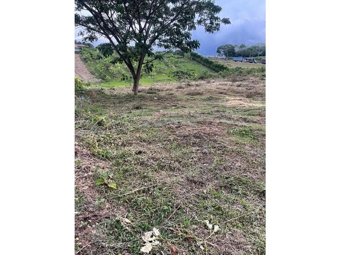 Lote en venta en Cerritos, Pereira, 2540 m² · foto 6 de 9