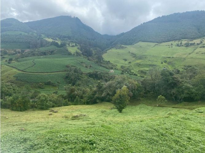 Lote en venta en Vereda El Salitre, La Calera, 1533 m² · foto 3 de 20