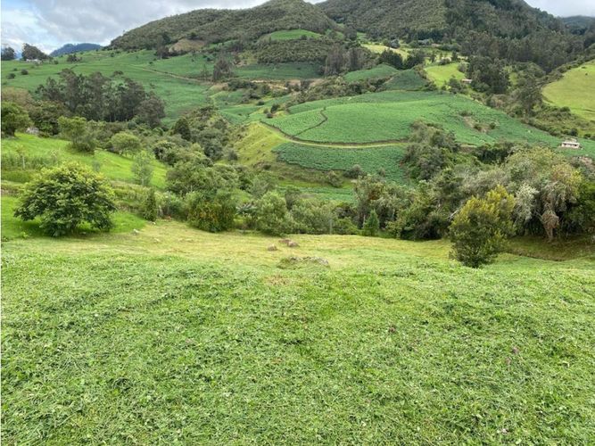Lote en venta en Vereda El Salitre, La Calera, 1533 m² · foto 4 de 20