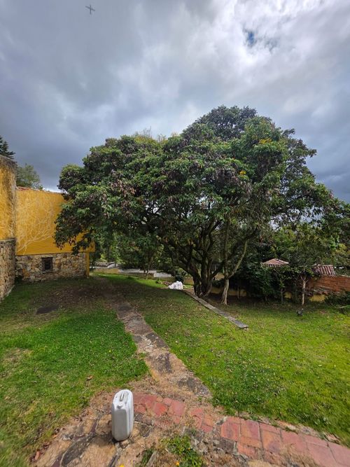 Casa de 4 alcobas en venta en Provenza, Bogotá, 1183 m² · foto 16 de 24