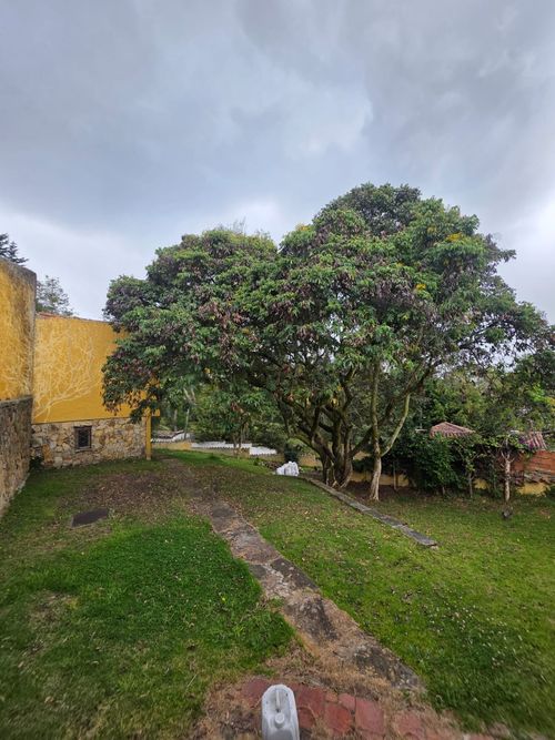 Casa de 4 alcobas en venta en Provenza, Bogotá, 1183 m² · foto 18 de 24