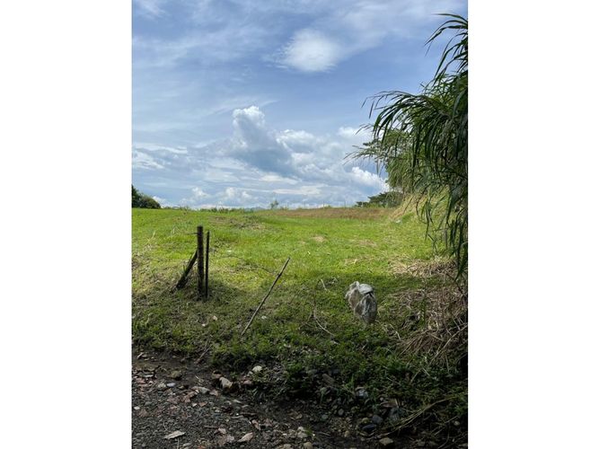 Lote en venta en Cerritos, Pereira, 2600 m² · foto 3 de 11