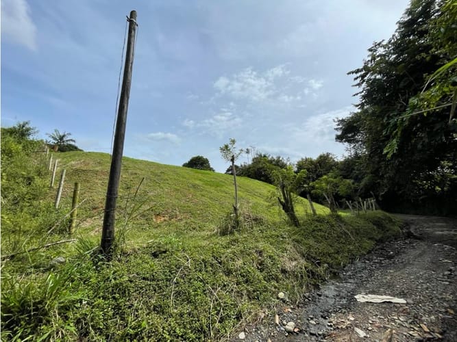 Lote en venta en Cerritos, Pereira, 2600 m² · foto 6 de 11