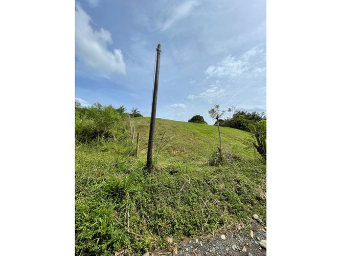 Lote en venta en Cerritos, Pereira, 2600 m² · foto 7 de 11