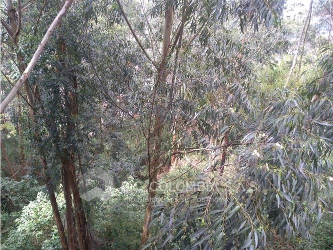 Local en venta en Loma Del Indio, Medellín · foto 18 de 24