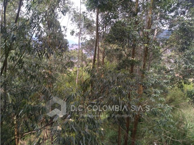 Local en venta en Loma Del Indio, Medellín · foto 19 de 24