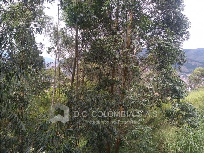 Local en venta en Loma Del Indio, Medellín · foto 20 de 24